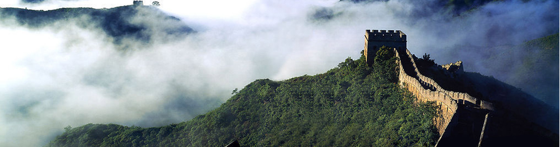 集團動態(tài)